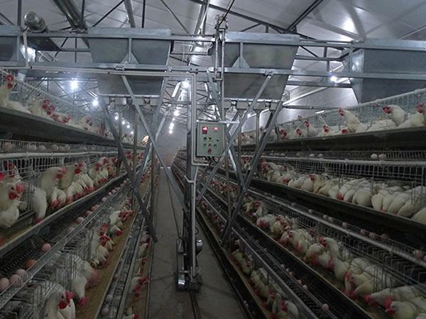 电容式接近黄瓜视频污黄 养殖业